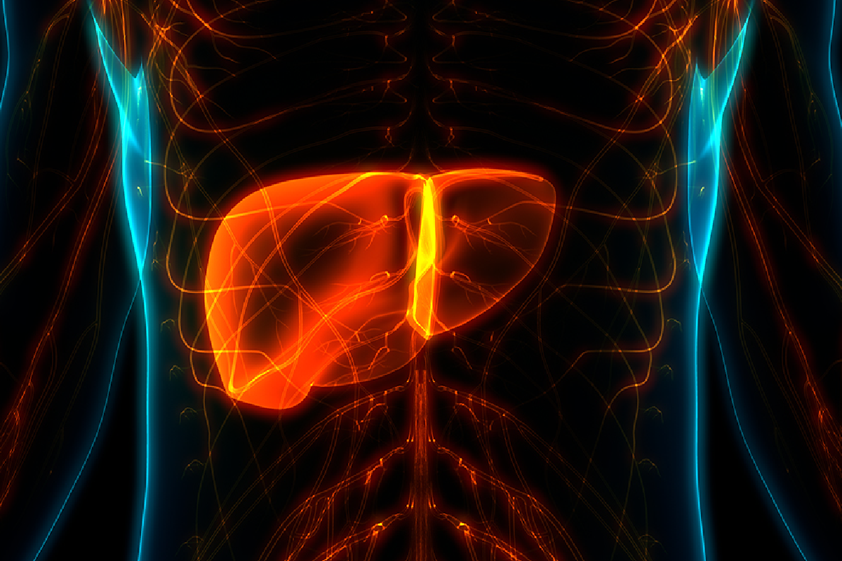 О риске развития панкреатита у больных желчнокаменной болезнью с механической желтухой