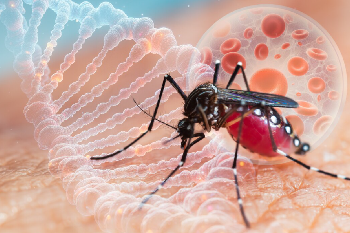 Диагностические возможности определения лихорадки Западного Нила