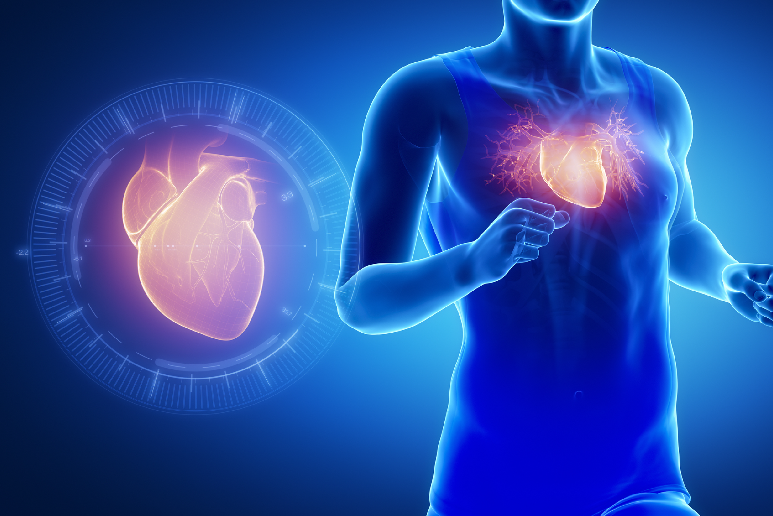 Современные представления о синдроме спортивного сердца