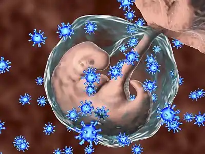 Поражения органов и систем у детей, родившихся от матерей с острой цитомегаловирусной инфекцией